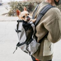 Dog Travel Backpack