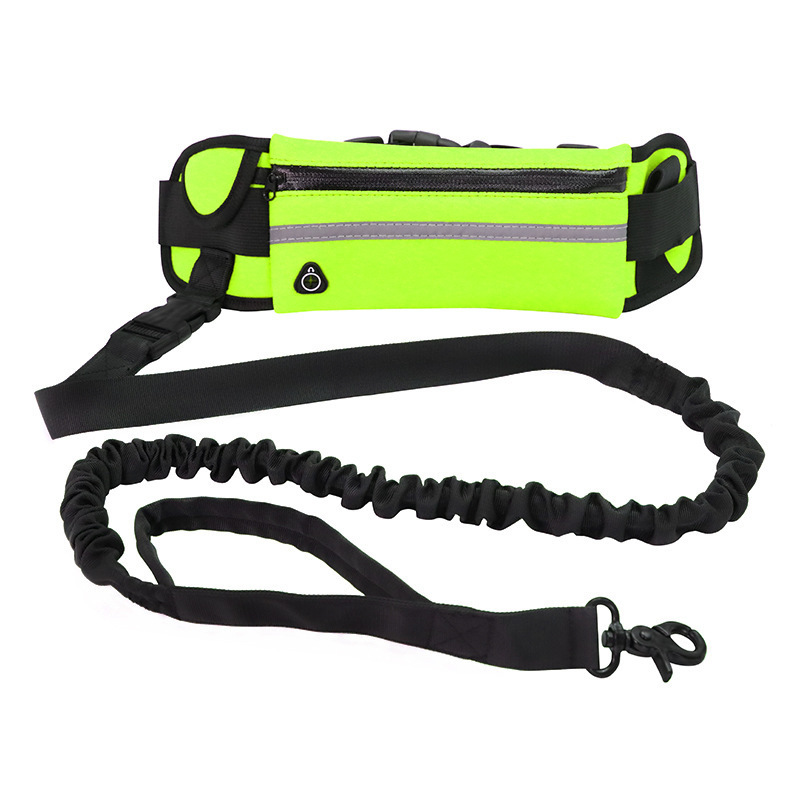 Hands-Free Bungee Dog Leash - Image 8