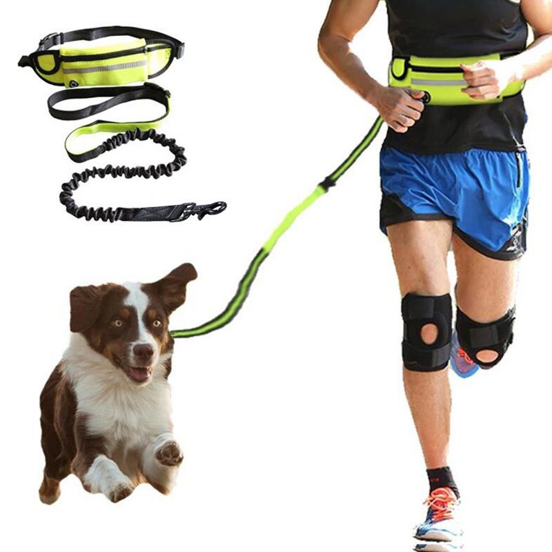 Hands-Free Bungee Dog Leash