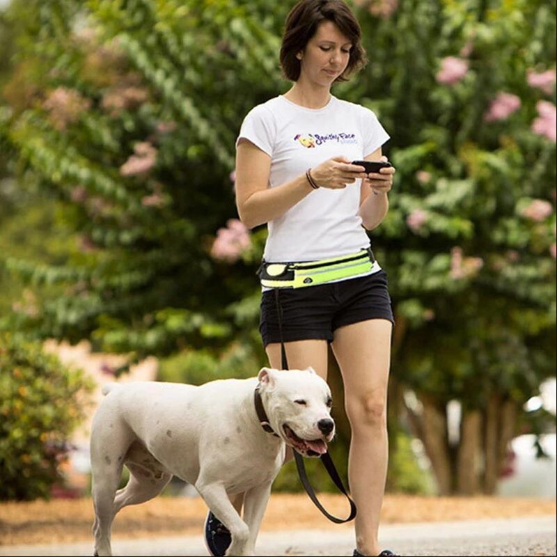 Hands-Free Bungee Dog Leash - Image 4