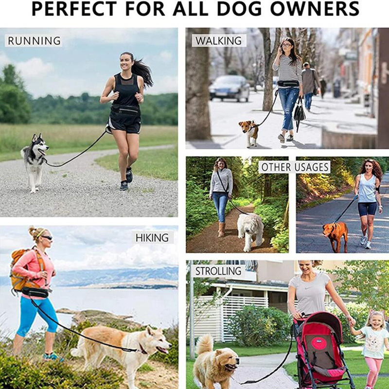 Hands-Free Bungee Dog Leash - Image 3