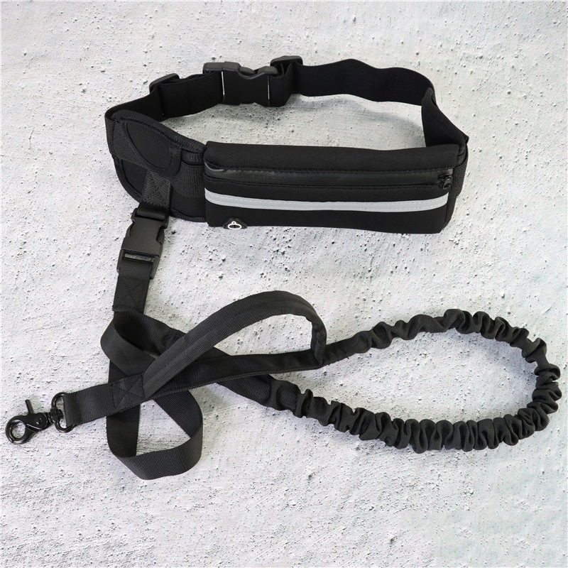 Hands-Free Bungee Dog Leash - Image 2