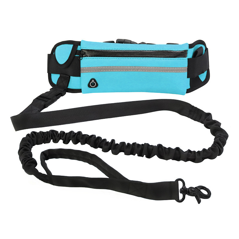 Hands-Free Bungee Dog Leash - Image 7