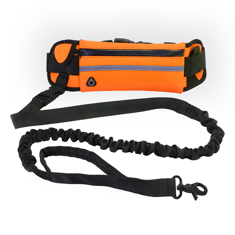 Hands-Free Bungee Dog Leash - Image 5