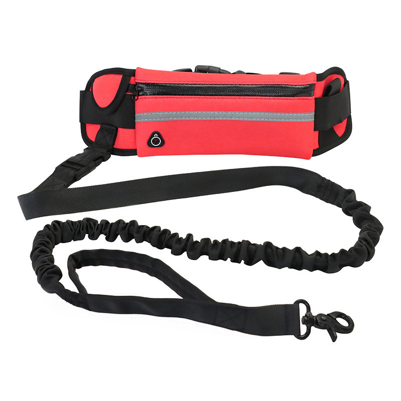 Hands-Free Bungee Dog Leash - Image 9