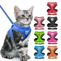 Everyday Mesh Harness