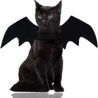 Cat Bat Wings Costume