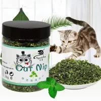 Catnip Toy