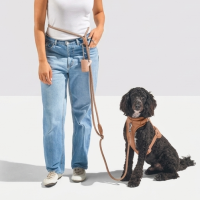 Walk
