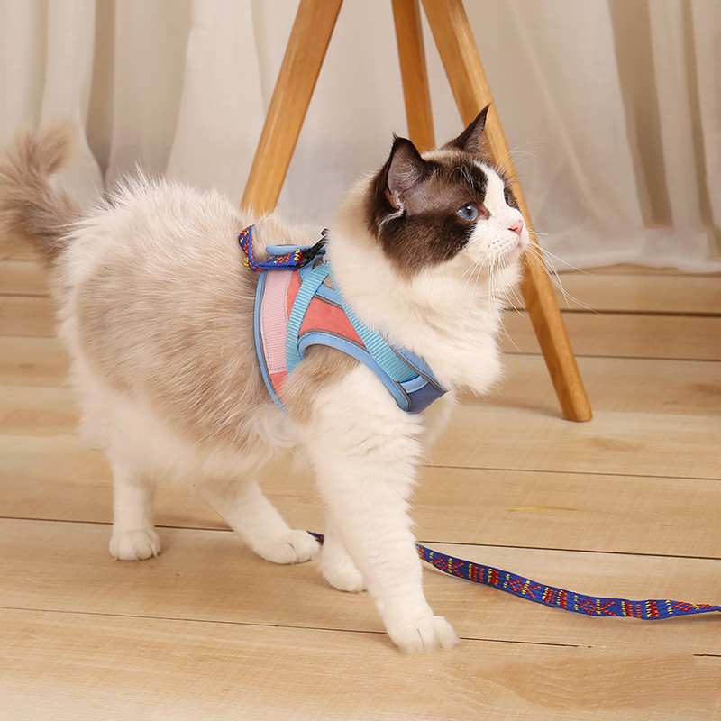 Anti Escape Reflective Cat Harness Leash - Image 5