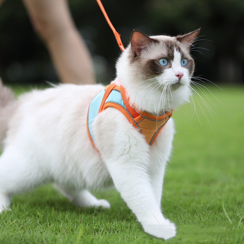 Anti Escape Reflective Cat Harness Leash - Image 6